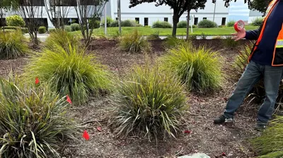 Leak Detection Photo